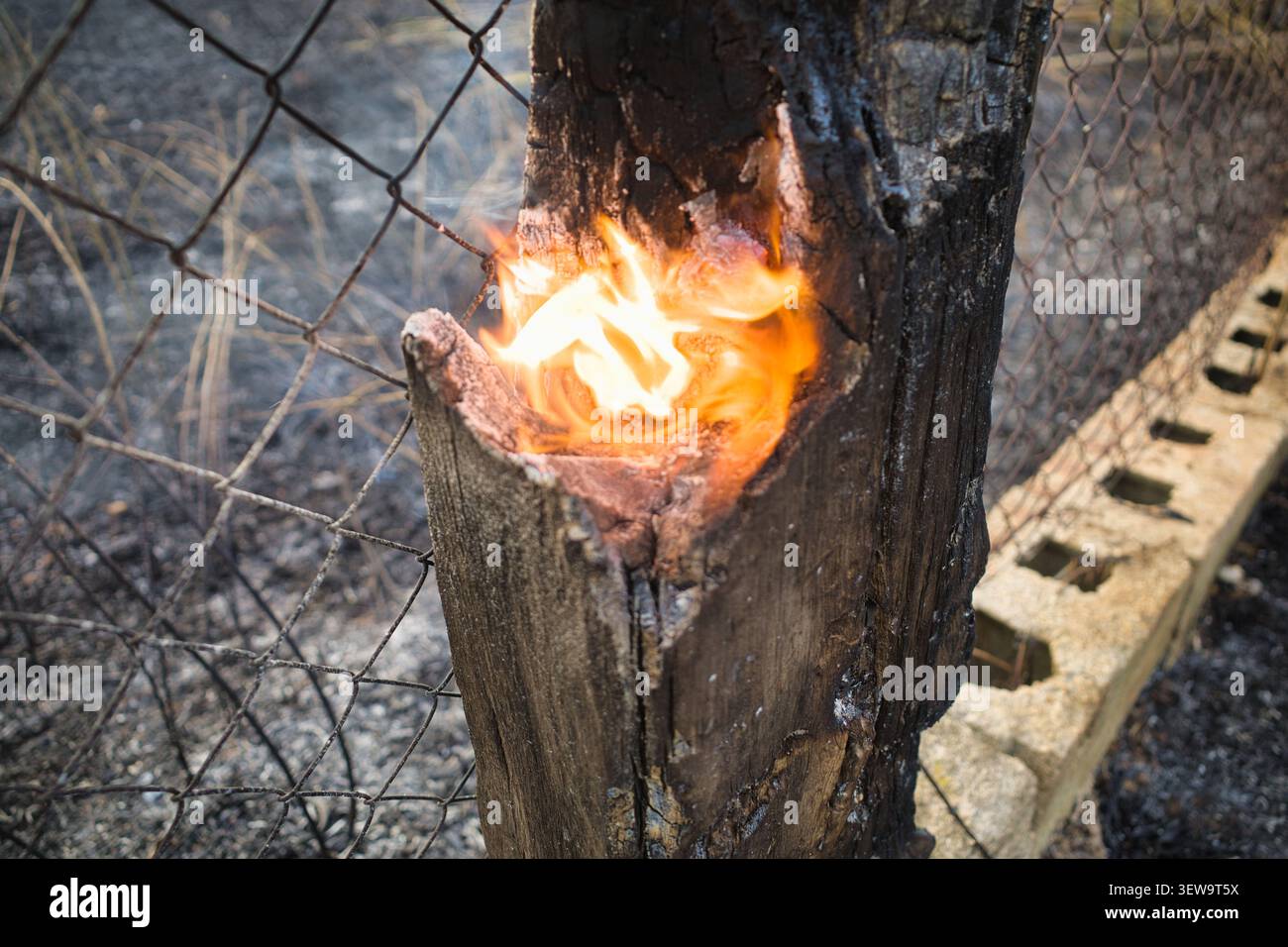 La recinzione di legno che brucia dopo un incendio Foto Stock