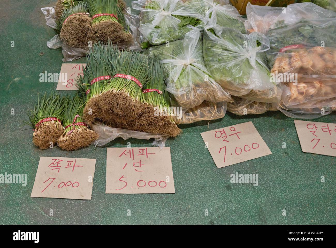 Erba cipollina legata, ravanelli a foglia in busta e ravanelli altari con cartellini coreani scritti a mano sul cartone, venduti in un mercato interno Foto Stock