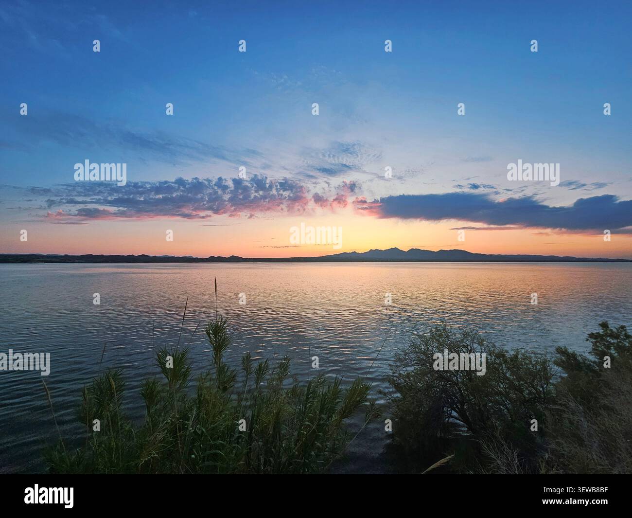 Tramonto sul lago Havasu sull'isola Foto Stock