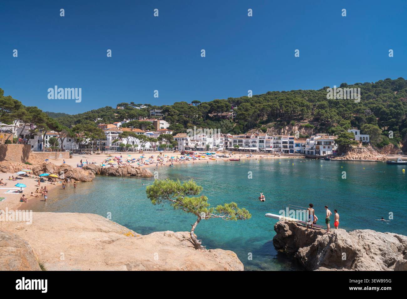 PLATJA DELS LIRIS BEACH BAIA DI TAMARIU COSTA BRAVA PROVINCIA DI GIRONA CATALOGNA SPAGNA Foto Stock