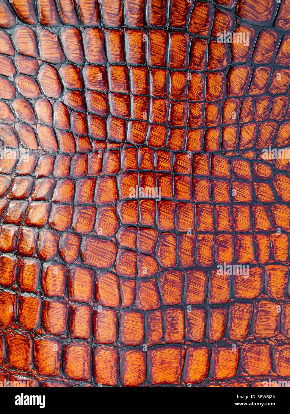 Una superficie mostra un motivo a coccodrillo marrone. La texture lucida mette in risalto il design esclusivo. Questa superficie può essere utilizzata in vari tipi di prodotti artigianali e tessili Foto Stock