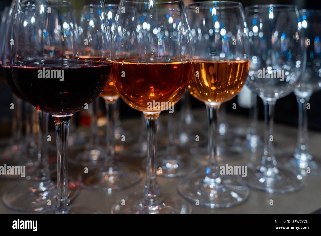 File di eleganti bicchieri di vino rosso riempiti di vino rubino durante una degustazione. Ospitalità sofisticata, cucina raffinata e sfondo culturale vinicolo. Foto Stock