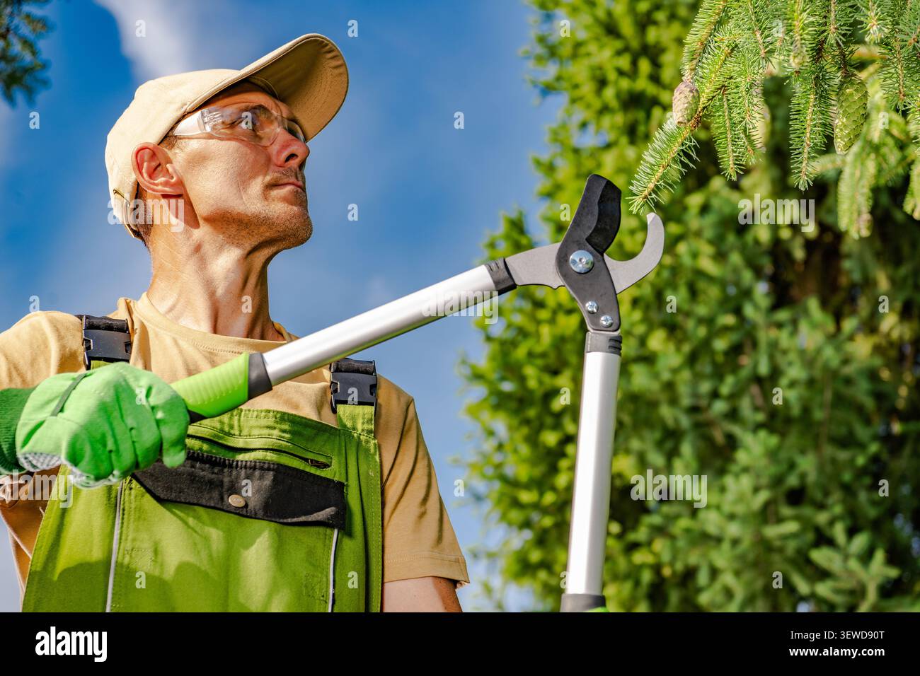 Una persona lavora sulla potatura degli alberi in un giardino. Possono contenere un paio di cesoie a manico lungo e indossare indumenti di sicurezza. La scena mostra alberi e cielo blu nella B. Foto Stock