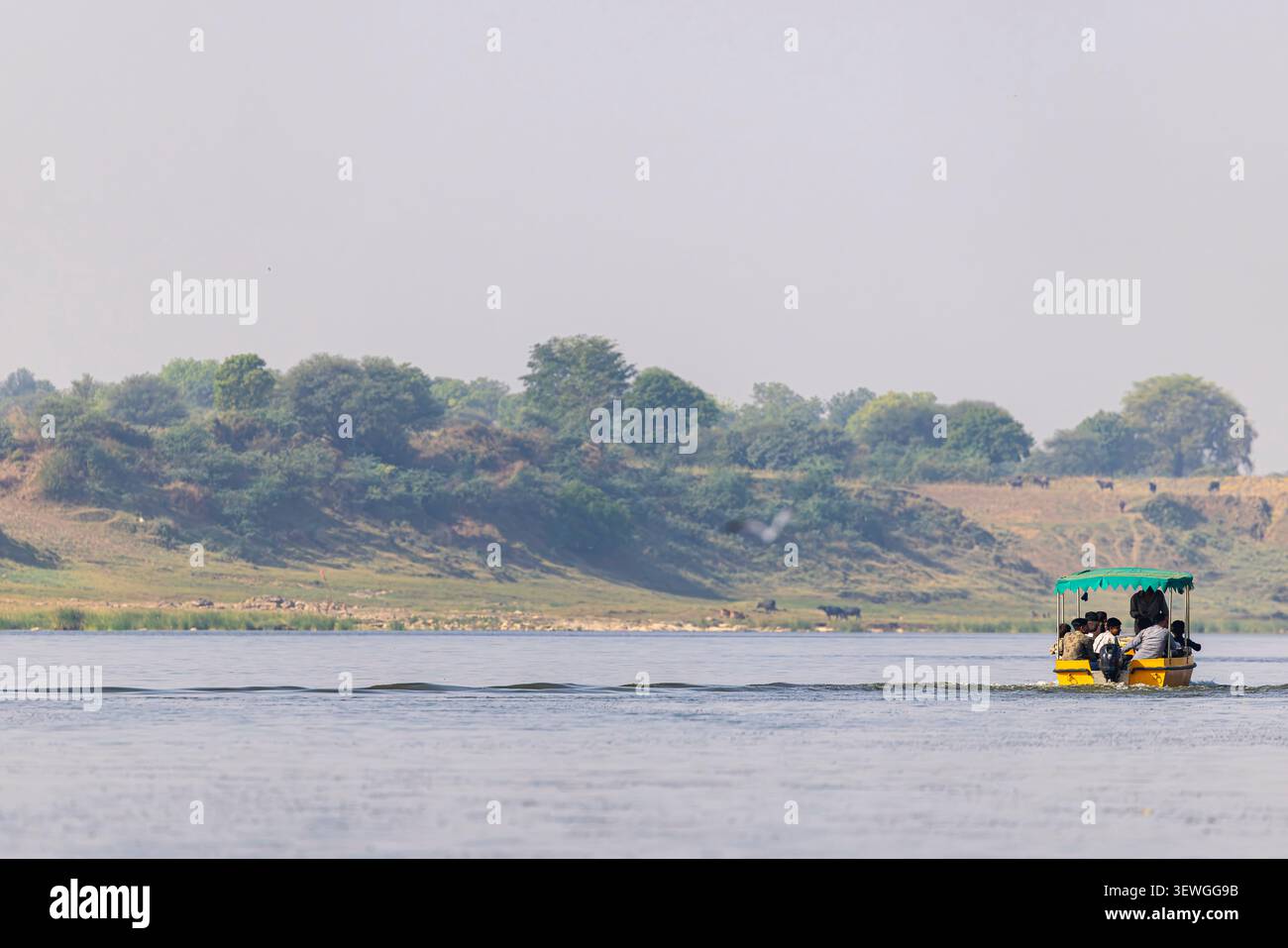 Ranthambore India 18 maggio 2026: Un safari in barca naviga lungo il fiume Chambal durante il Palighat Chambal Crocodile Safari, India, che offre vedute di Foto Stock