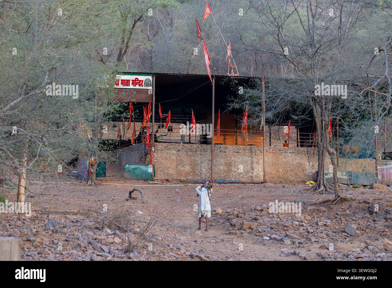 Ranthambore India 18 maggio 2026: Un tempio indù nella zona 5 del Parco Nazionale di Ranthambore, in India, circondato dalla foresta, che riflette il ricco culto della regione Foto Stock
