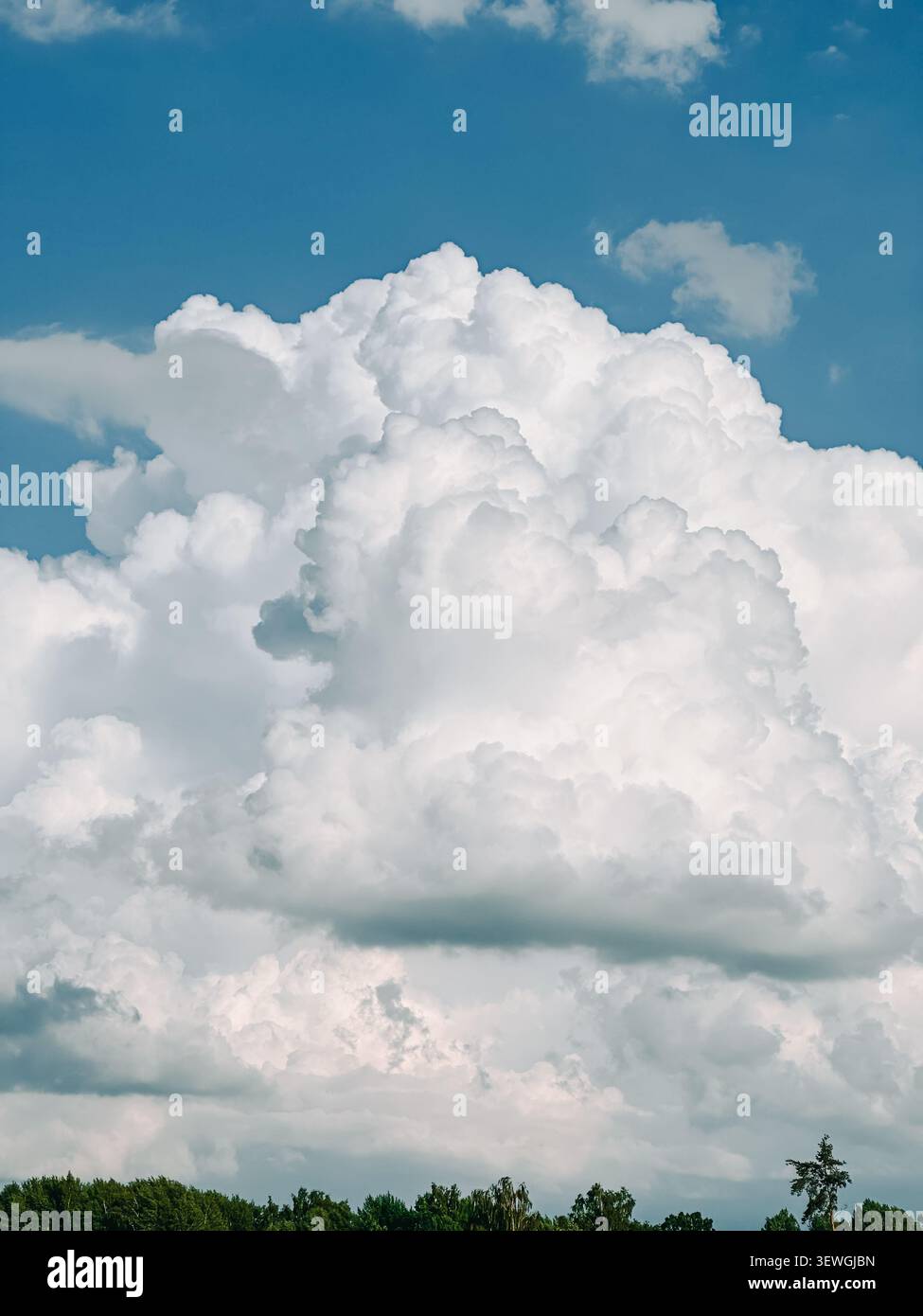 Spettacolari torreggianti nuvole di cumulus che si innalzano sopra una lussureggiante linea di alberi sotto un vibrante cielo estivo blu. Perfetto per il tempo, il clima, la natura, l'ambiente Foto Stock