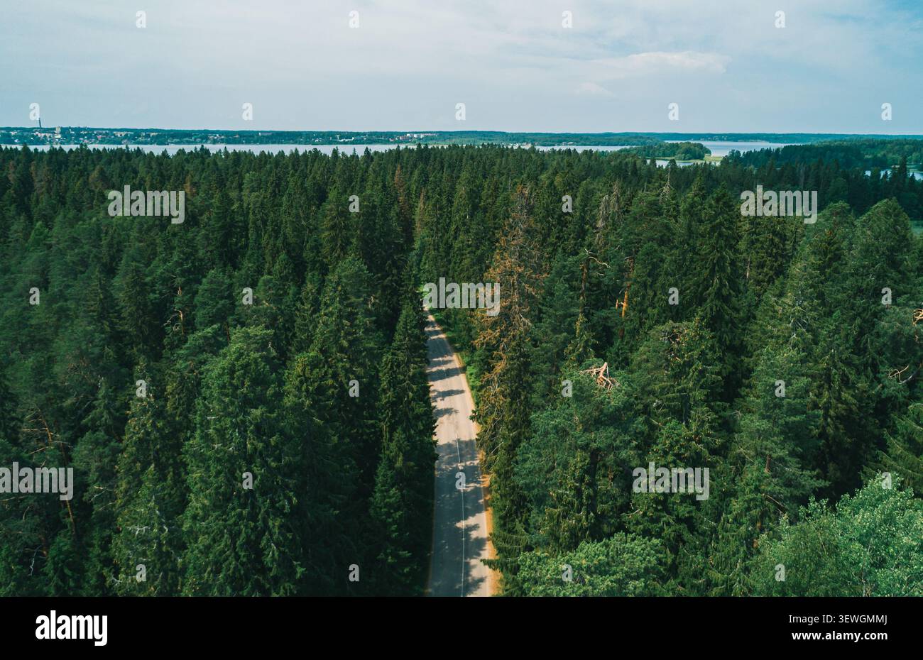 Vista aerea di una tranquilla strada forestale circondata da lussureggianti alberi verdi e da un lontano lago sotto un cielo limpido Foto Stock