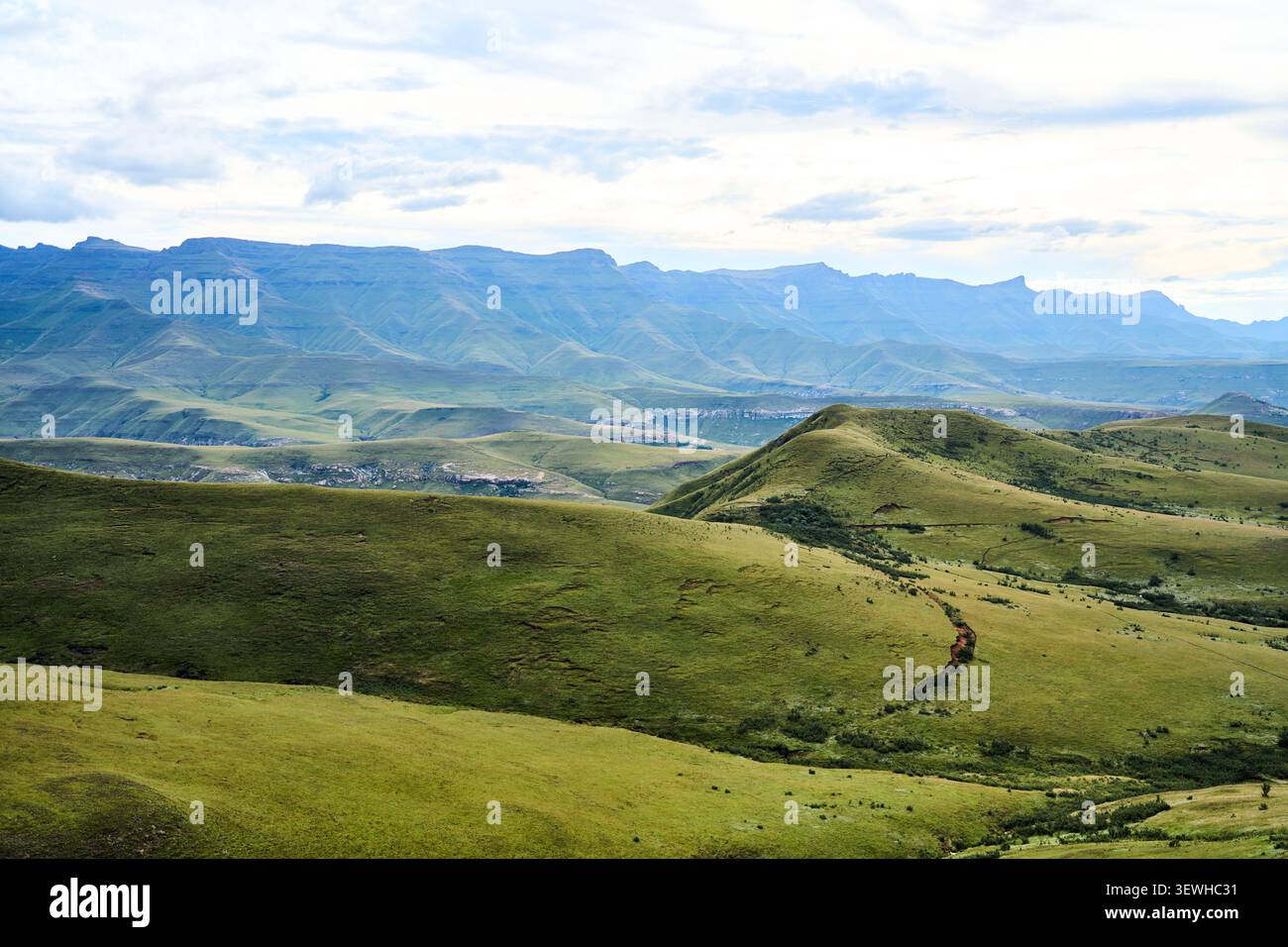 Idilliaco paesaggio pastorale con percorsi curvi e lussureggianti foglie ispira avventure e scoperte all'aperto Foto Stock