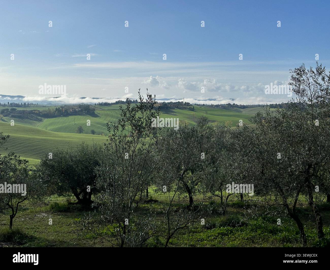 Novembre in Toscana con colori autunnali vivaci, colline ondulate e campagna tranquilla sotto la luce soffusa di stagione. - Immagine stock catturata con smartphone