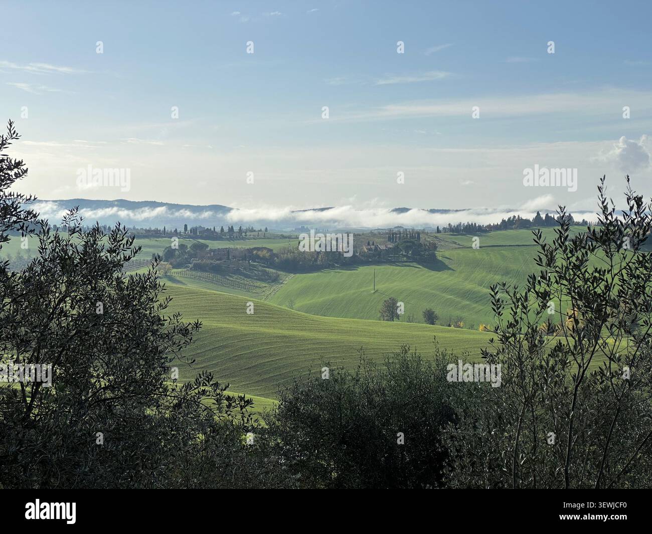 Novembre in Toscana con colori autunnali vivaci, colline ondulate e campagna tranquilla sotto la luce soffusa di stagione. - Immagine stock catturata con smartphone