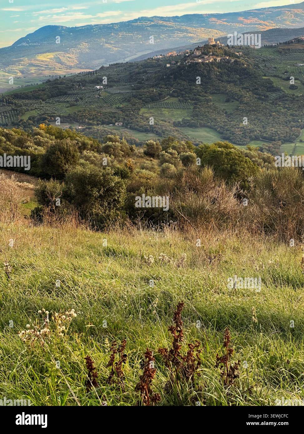 Novembre in Toscana con colori autunnali vivaci, colline ondulate e campagna tranquilla sotto la luce soffusa di stagione. - Immagine stock catturata con smartphone