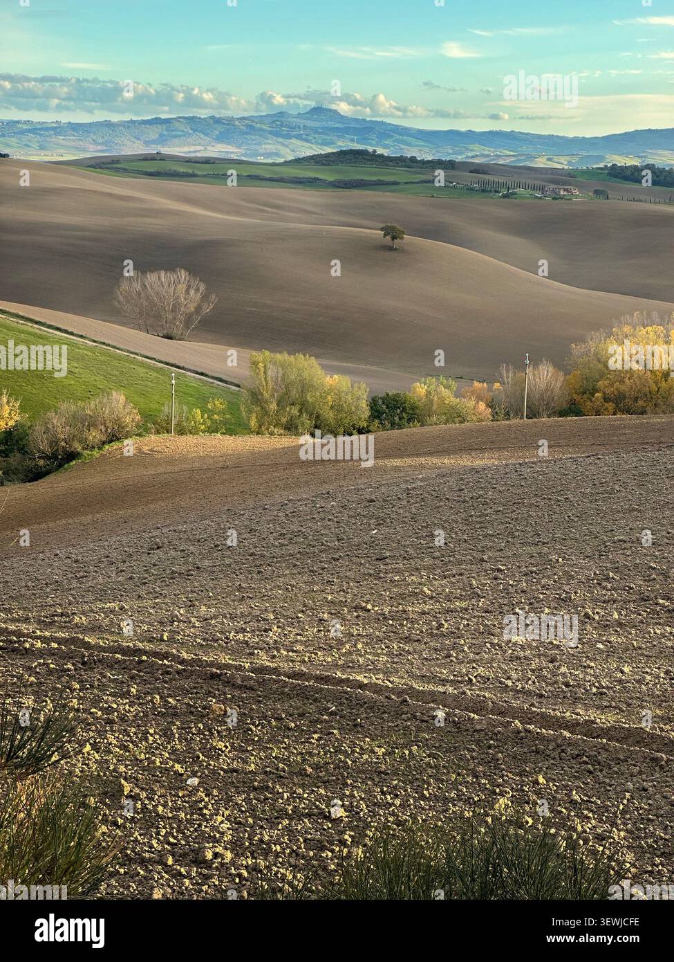 Novembre in Toscana con colori autunnali vivaci, colline ondulate e campagna tranquilla sotto la luce soffusa di stagione. - Immagine stock catturata con smartphone