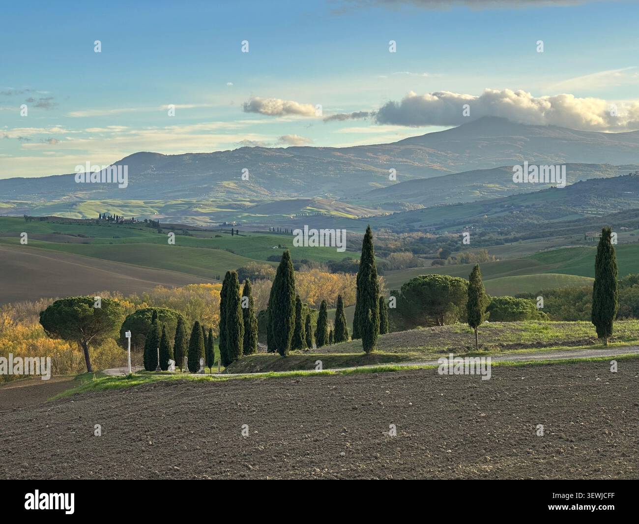 Novembre in Toscana con colori autunnali vivaci, colline ondulate e campagna tranquilla sotto la luce soffusa di stagione. - Immagine stock catturata con smartphone