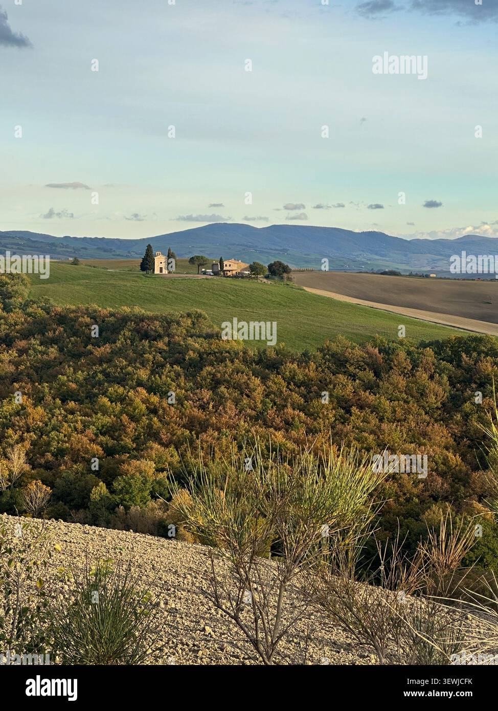 Novembre in Toscana con colori autunnali vivaci, colline ondulate e campagna tranquilla sotto la luce soffusa di stagione. - Immagine stock catturata con smartphone