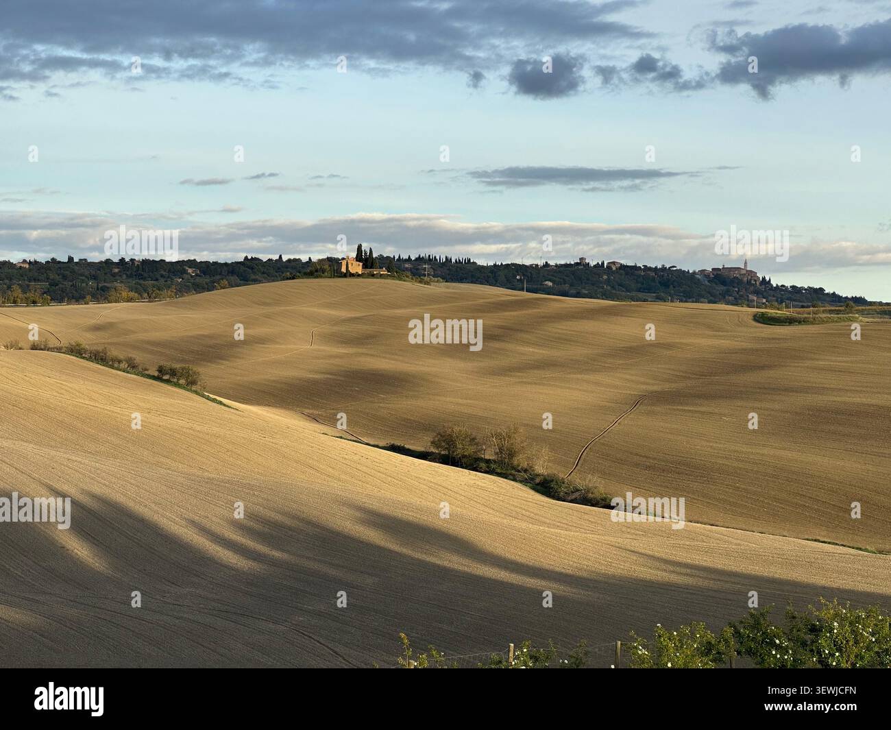 Novembre in Toscana con colori autunnali vivaci, colline ondulate e campagna tranquilla sotto la luce soffusa di stagione. - Immagine stock catturata con smartphone
