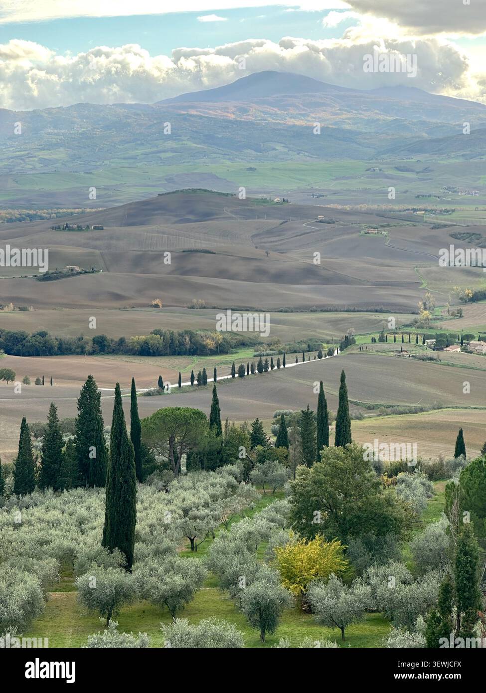 Novembre in Toscana con colori autunnali vivaci, colline ondulate e campagna tranquilla sotto la luce soffusa di stagione. - Immagine stock catturata con smartphone