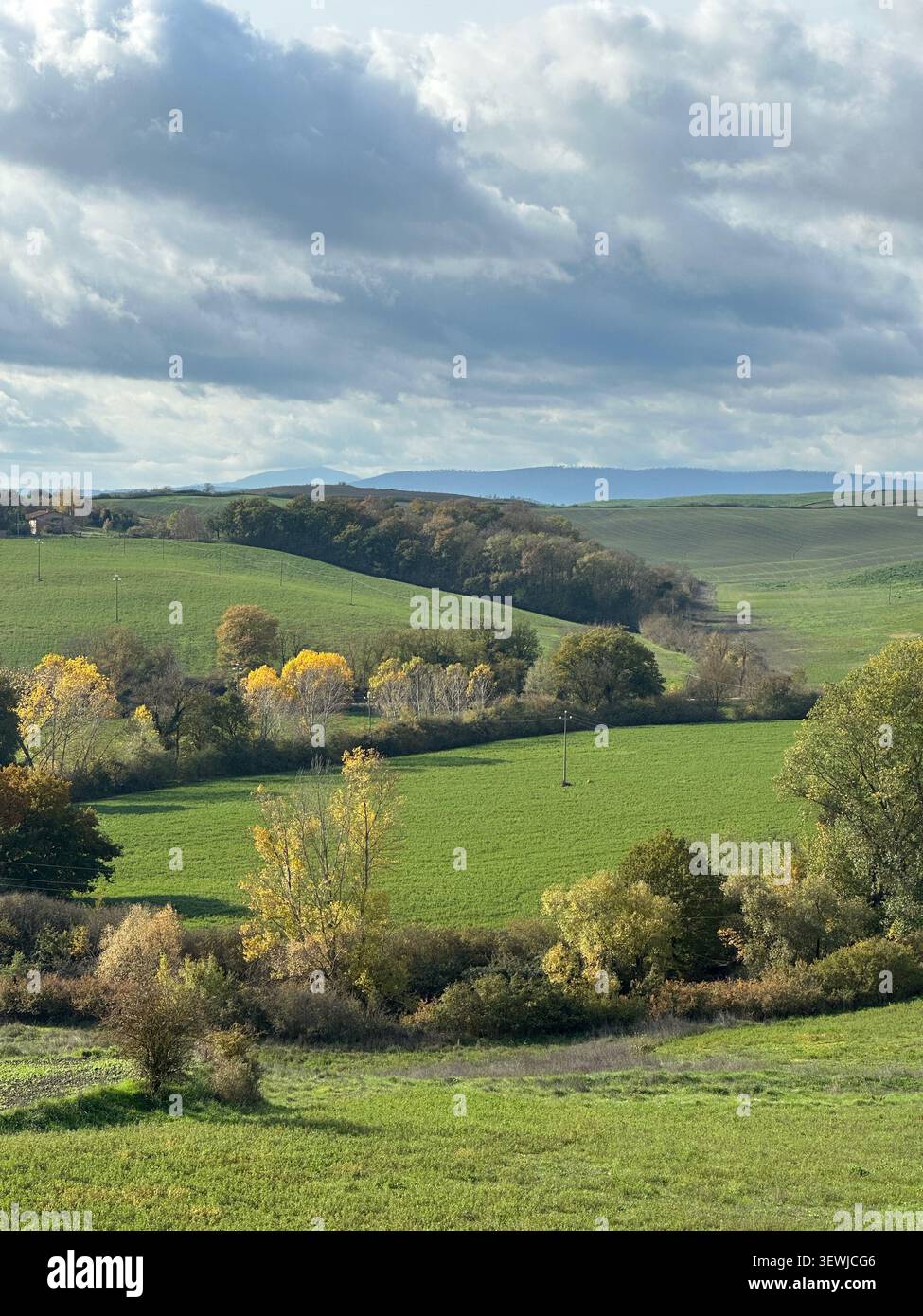 Novembre in Toscana con colori autunnali vivaci, colline ondulate e campagna tranquilla sotto la luce soffusa di stagione. - Immagine stock catturata con smartphone