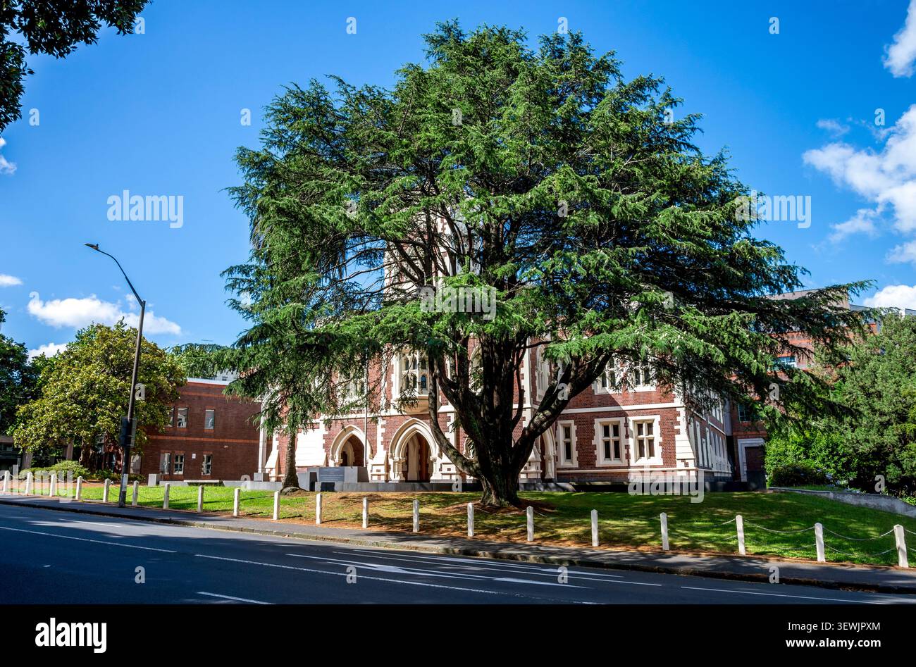 Storico edificio in mattoni rossi di High Court con grande albero di conifere, Auckland, nuova Zelanda, 1° gennaio 2024 Foto Stock
