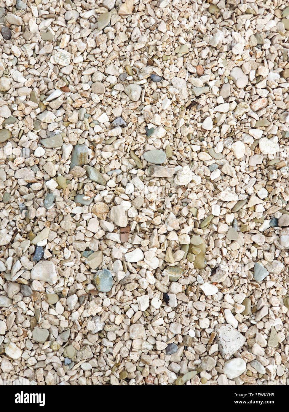 Sfondo a trama di ciottoli di spiaggia con piccole conchiglie e superficie costiera naturale Foto Stock