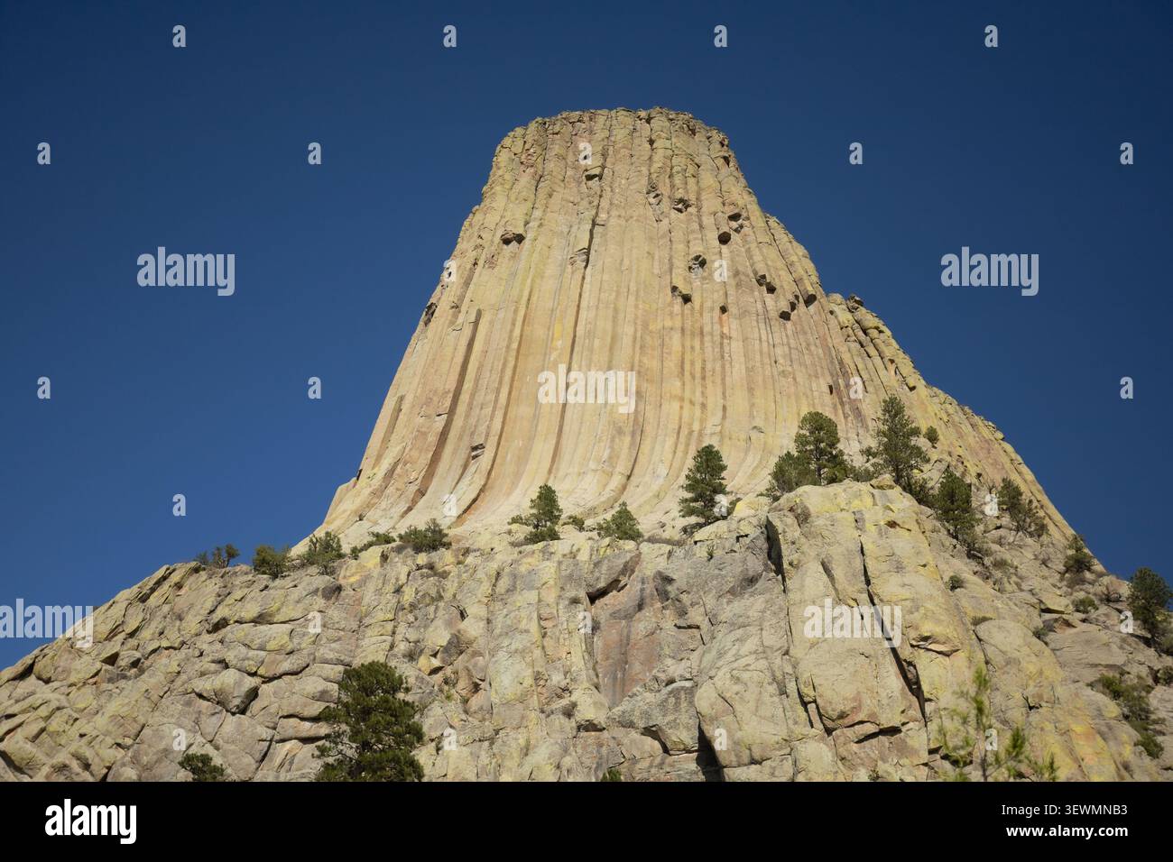 Vista dal basso angolo del Devils Tower National Monument che si innalza sopra un terreno roccioso sotto un cielo blu profondo e limpido nel nord-est del Wyoming, Stati Uniti. Foto Stock