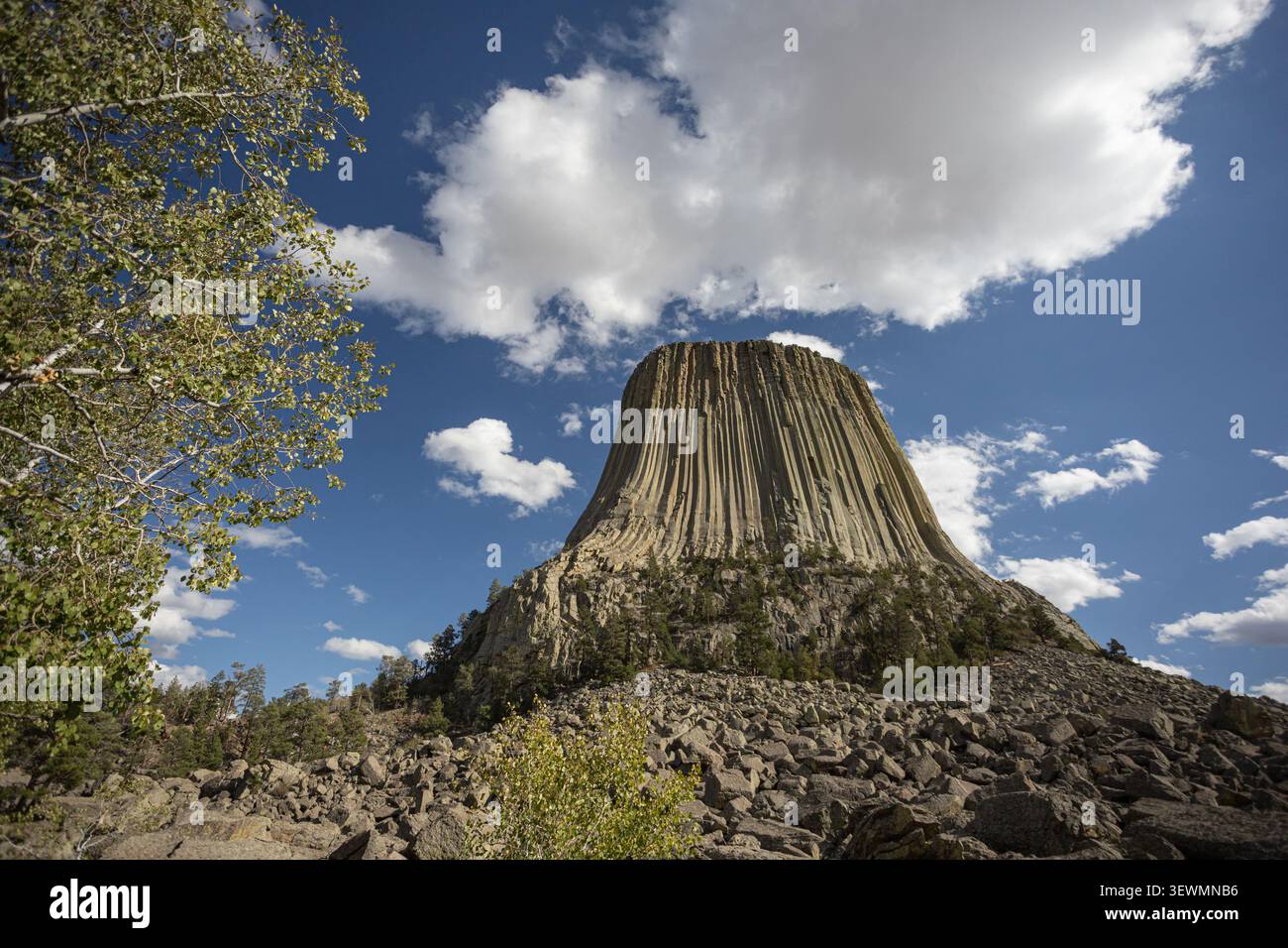 Vista dal basso angolo del Devils Tower National Monument sotto le nuvole spettacolari e il cielo blu nel nord-est del Wyoming, Stati Uniti. Foto Stock