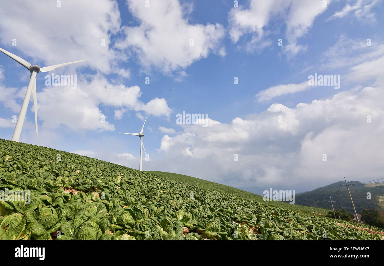 Le rigogliose colture verdi ricoprono ripide colline ondulate in Corea del Sud. Le strutture di energia rinnovabile sorgono lungo il crinale sotto un cielo estivo nuvoloso e luminoso. Foto Stock