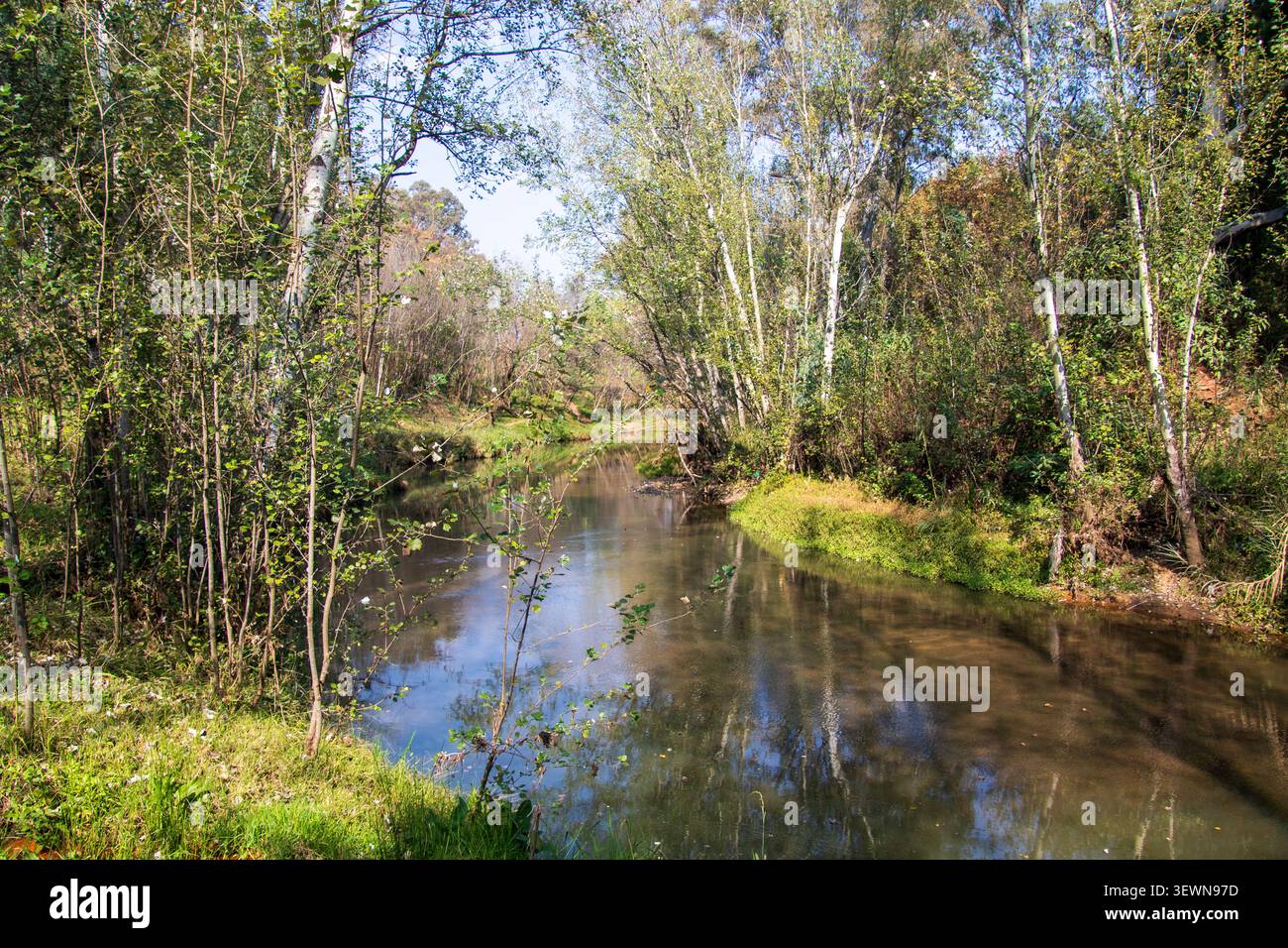 Un fiume lento scorre attraverso alte sponde con alberi Foto Stock