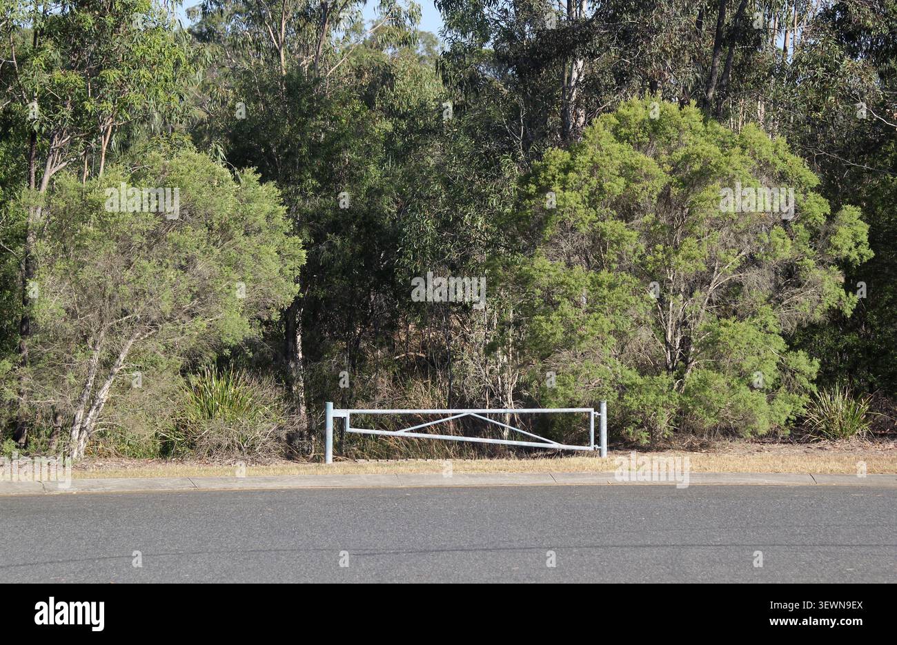 Un cancello metallico bianco chiuso che blocca l'ingresso a una fitta foresta di boscaglia australiana autoctona accanto a una strada asfaltata Foto Stock