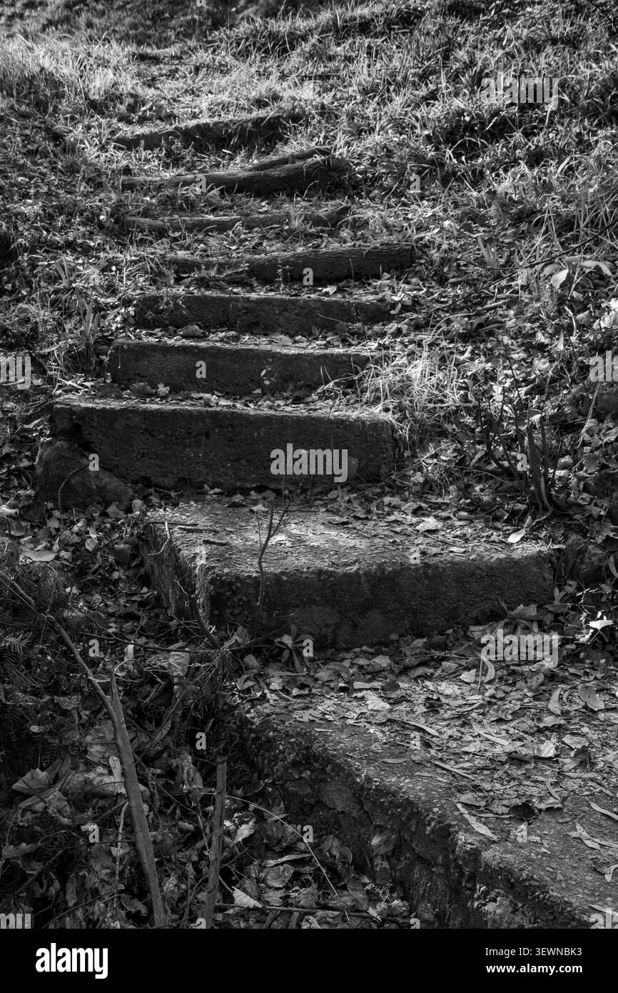 Un'immagine in bianco e nero di una scala esterna intemprata che conduce su un terrapieno Foto Stock