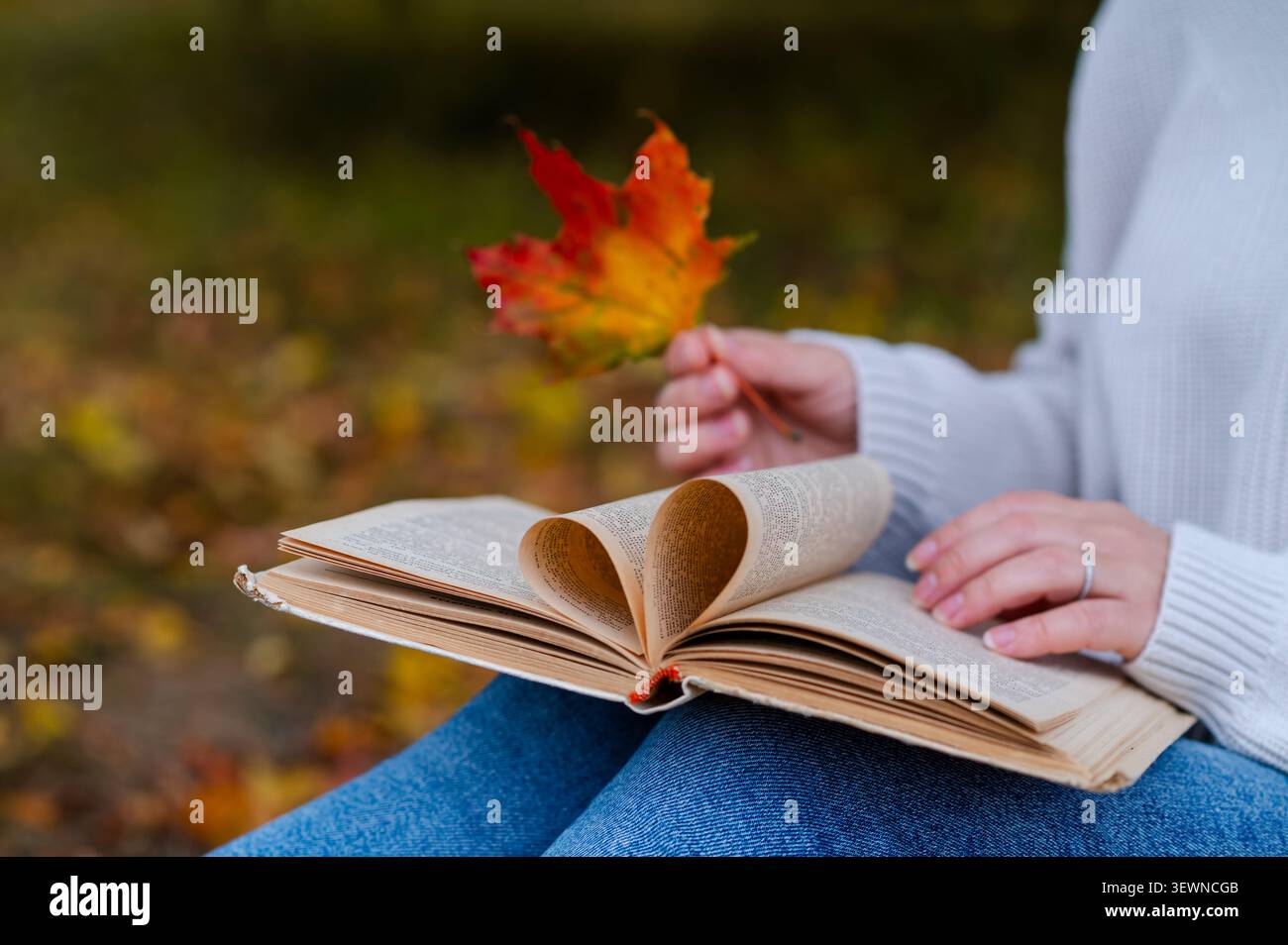 Primo piano di una donna in maglione seduta all'aperto con foglie autunnali colorate e un libro aperto con pagine piegate a forma di cuore che simboleggiano l'amore per i readi Foto Stock