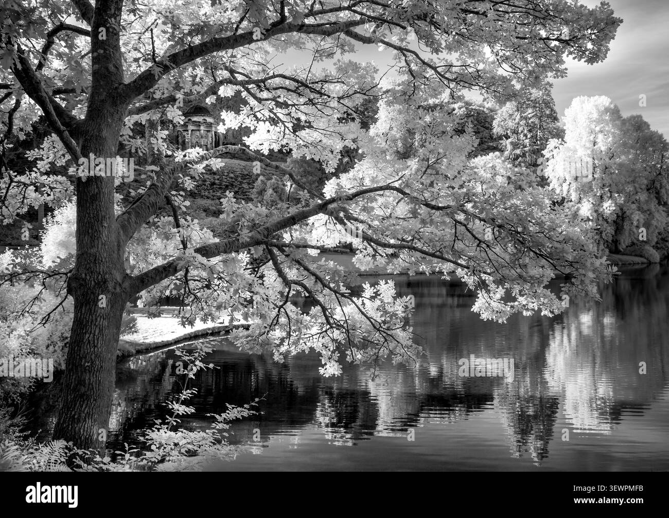 Vista monocromatica a infrarossi sul lago presso i giardini Stourhead National Trust con riflessi spettacolari e il Tempio di Apollo attraverso gli alberi Foto Stock