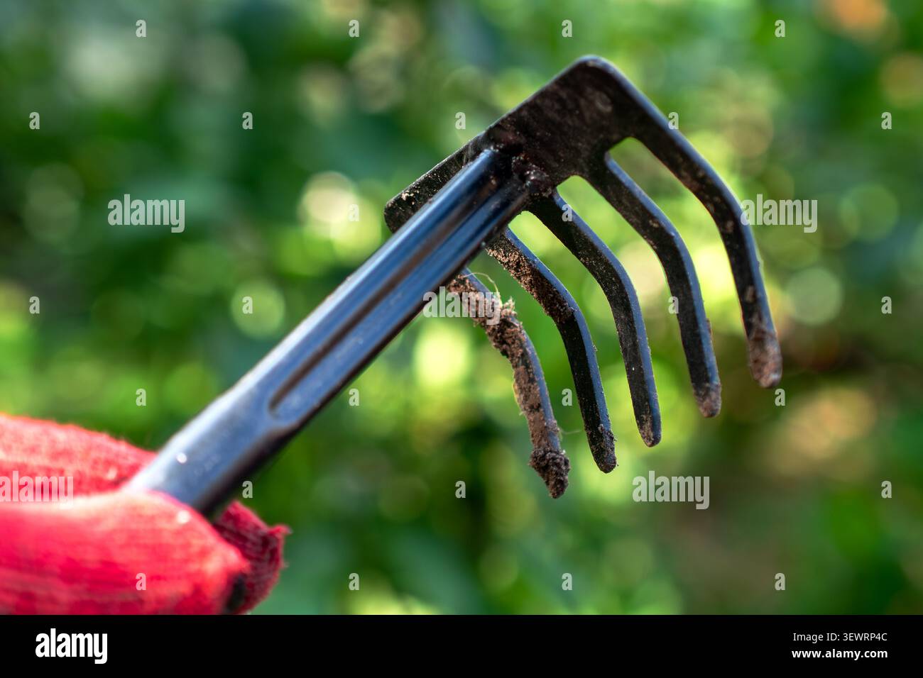 Indossando i guanti afferrando un piccolo rastrello da giardino con il terreno incollato sui denti per preparare il terreno per la semina all'aperto. Primo piano. Foto Stock