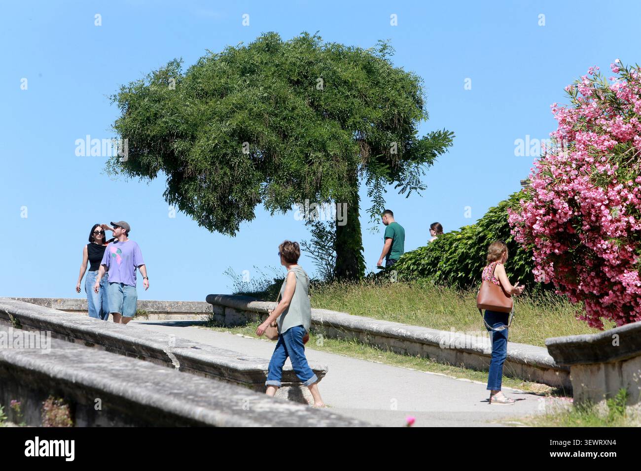 Turisti. Jardin historique du Rocher des Doms situé derrière le Palais des Papes. Avignone. Vaucluse. Provence-Alpes-Côte d'Azur. Francia. Europa. Foto Stock
