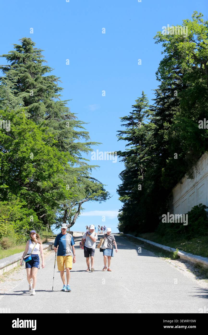 Turisti. Jardin historique du Rocher des Doms situé derrière le Palais des Papes. Avignone. Vaucluse. Provence-Alpes-Côte d'Azur. Francia. Europa. Foto Stock