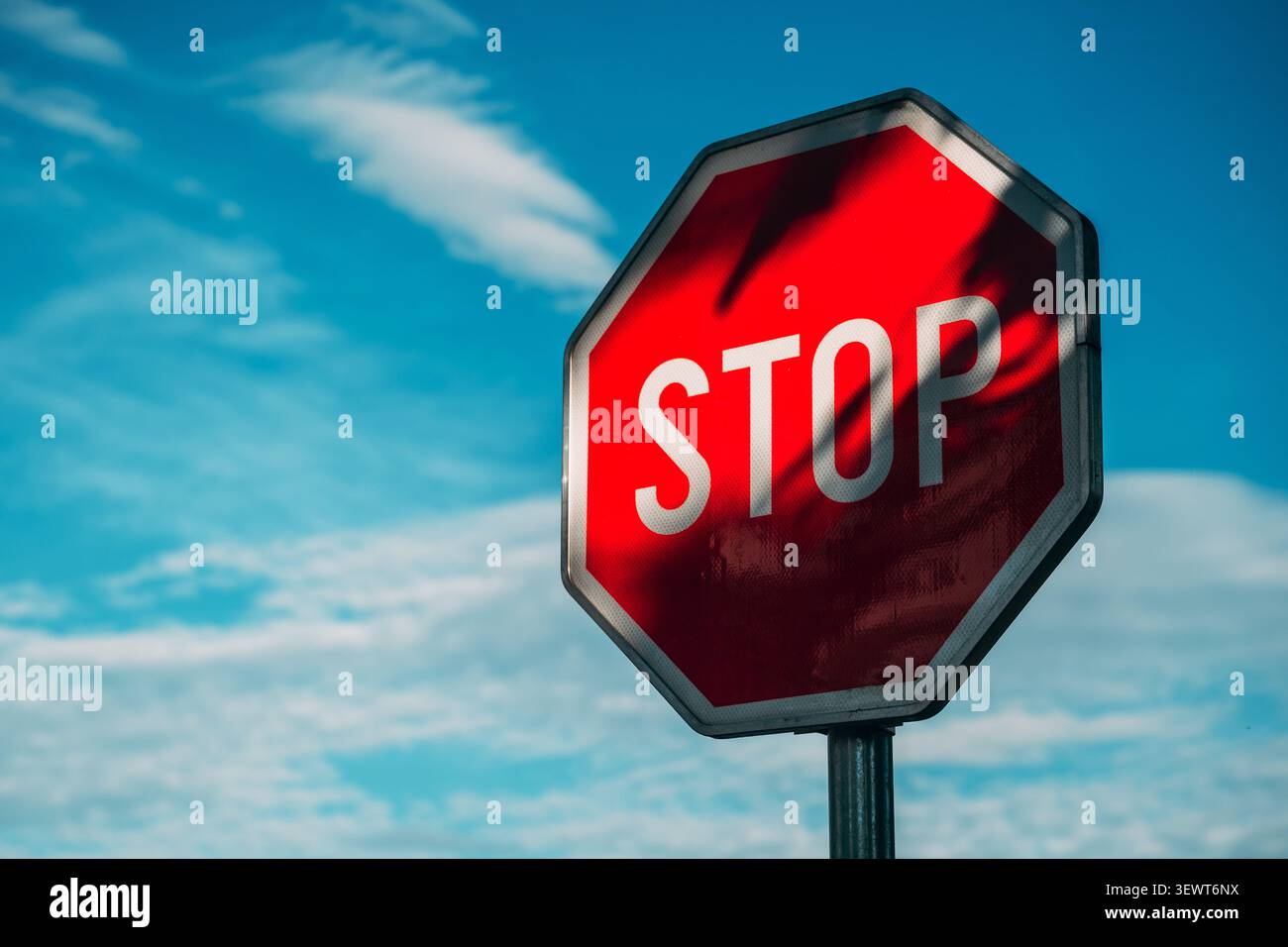 Un segnale di stop ottagonale rosso adagiato su un cielo azzurro limpido con ombre di alberi, che trasmette il controllo del traffico, la sicurezza stradale, la segnaletica di attenzione e la segnaletica urbana di tutti i giorni Foto Stock