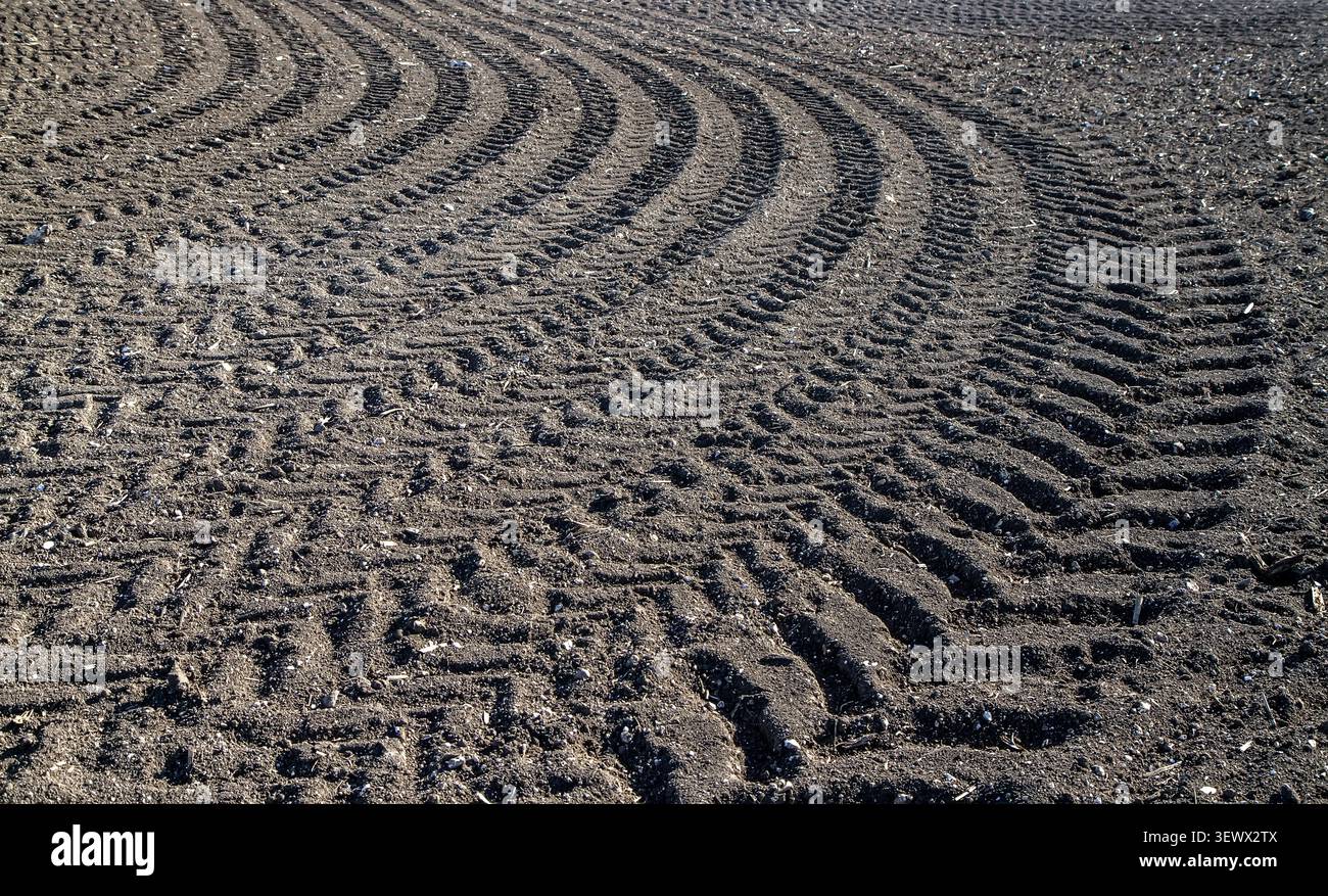 Texture di sfondo della terra. Campo trattato con tracce di trattori. Foto Stock