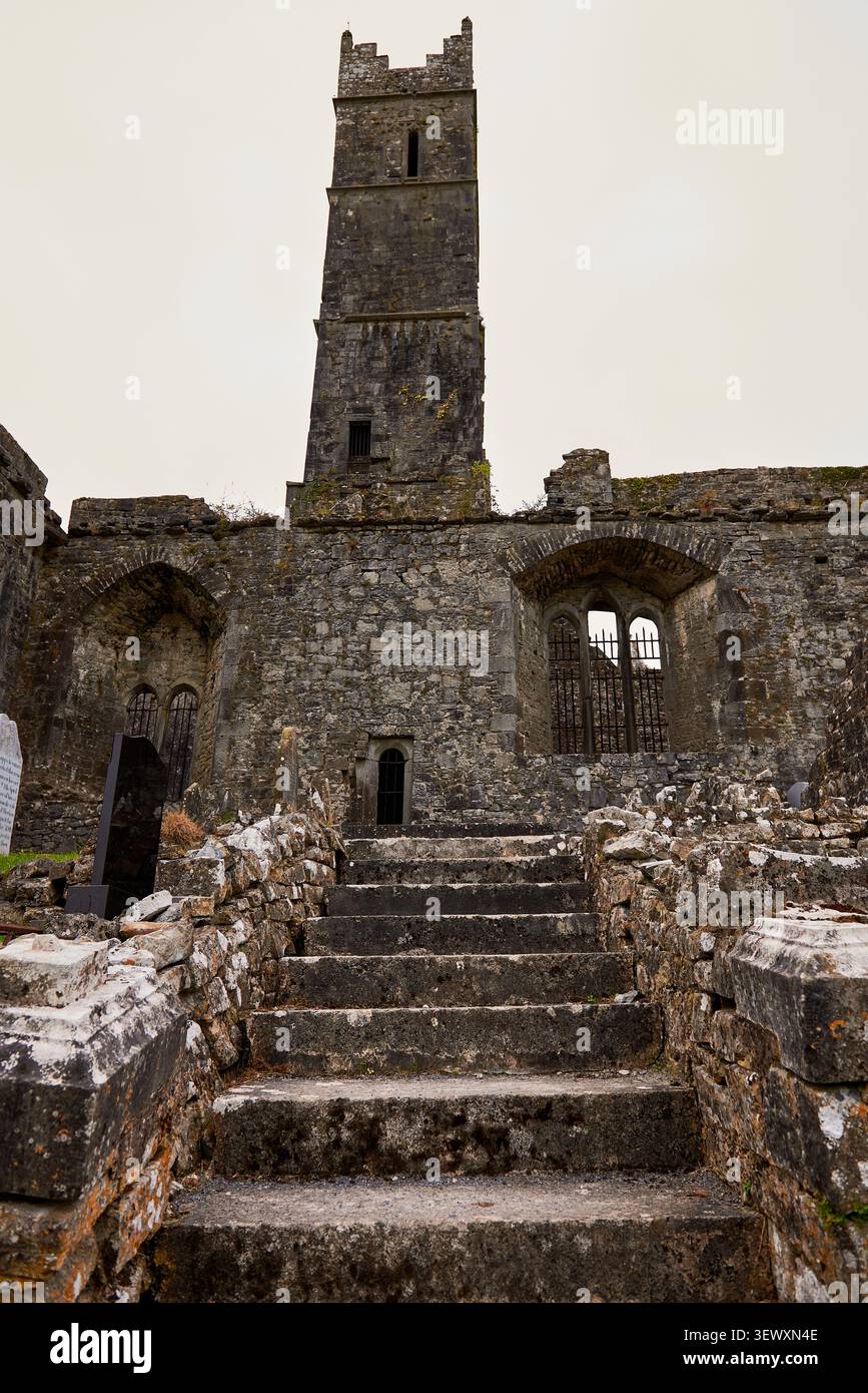 Scalinata in pietra che conduce alle rovine dell'Abbazia di Quin nella contea di Clare, Irlanda Foto Stock