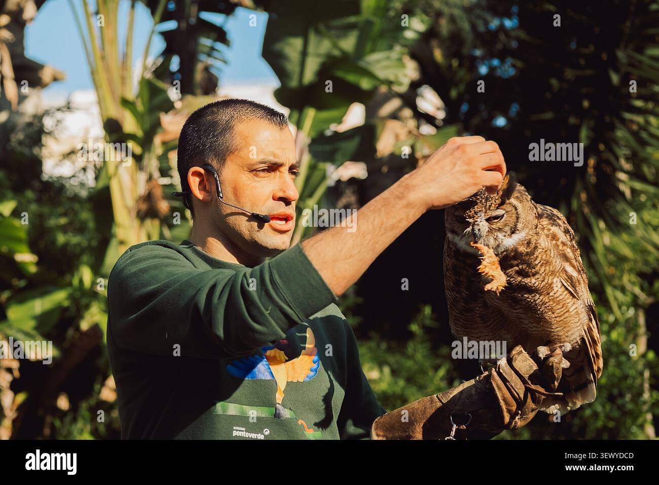 27 febbraio 2024, Portogallo, Lisbona - Zoo. Jardim Zoologico. l'uomo sta con il gufo in mano al centro faunistico. Parla ai visitatori del gufo. Il Foto Stock