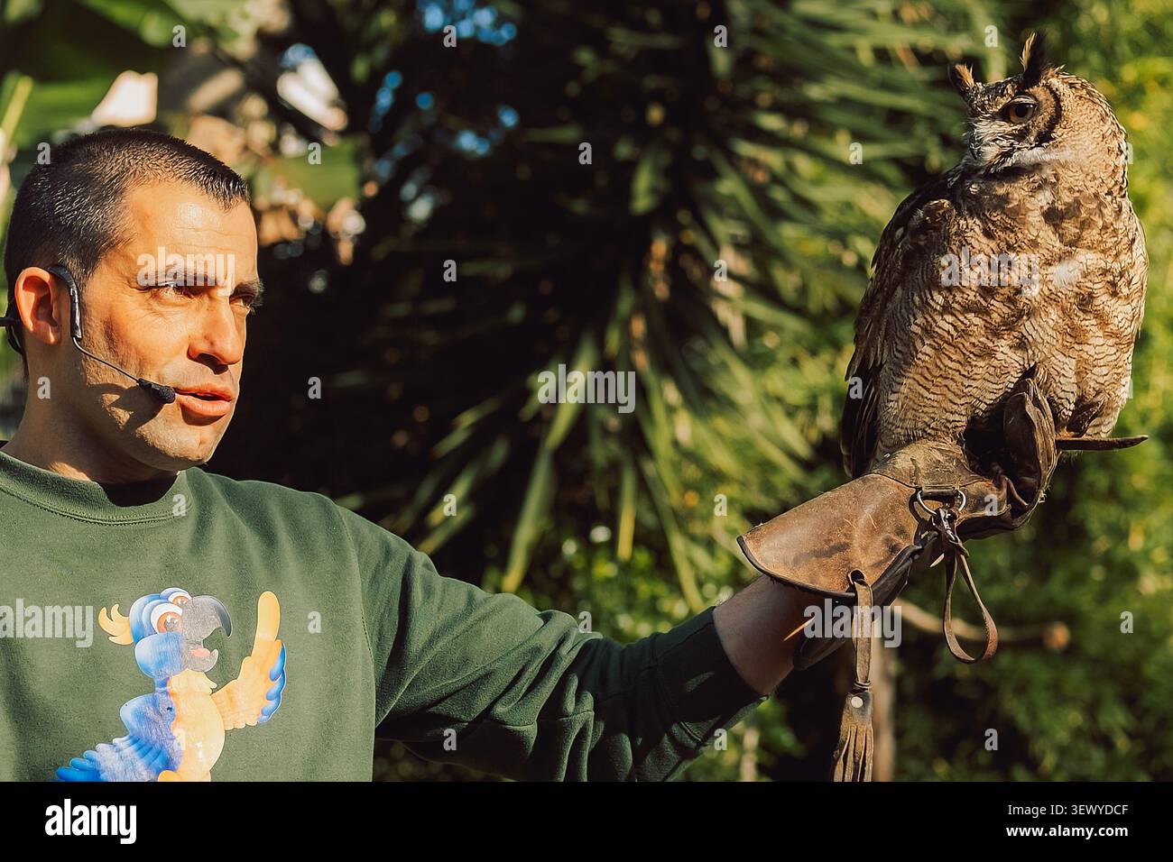 27 febbraio 2024, Portogallo, Lisbona - Zoo. Jardim Zoologico. l'uomo sta con il gufo in mano al centro faunistico. Parla ai visitatori del gufo. Il Foto Stock