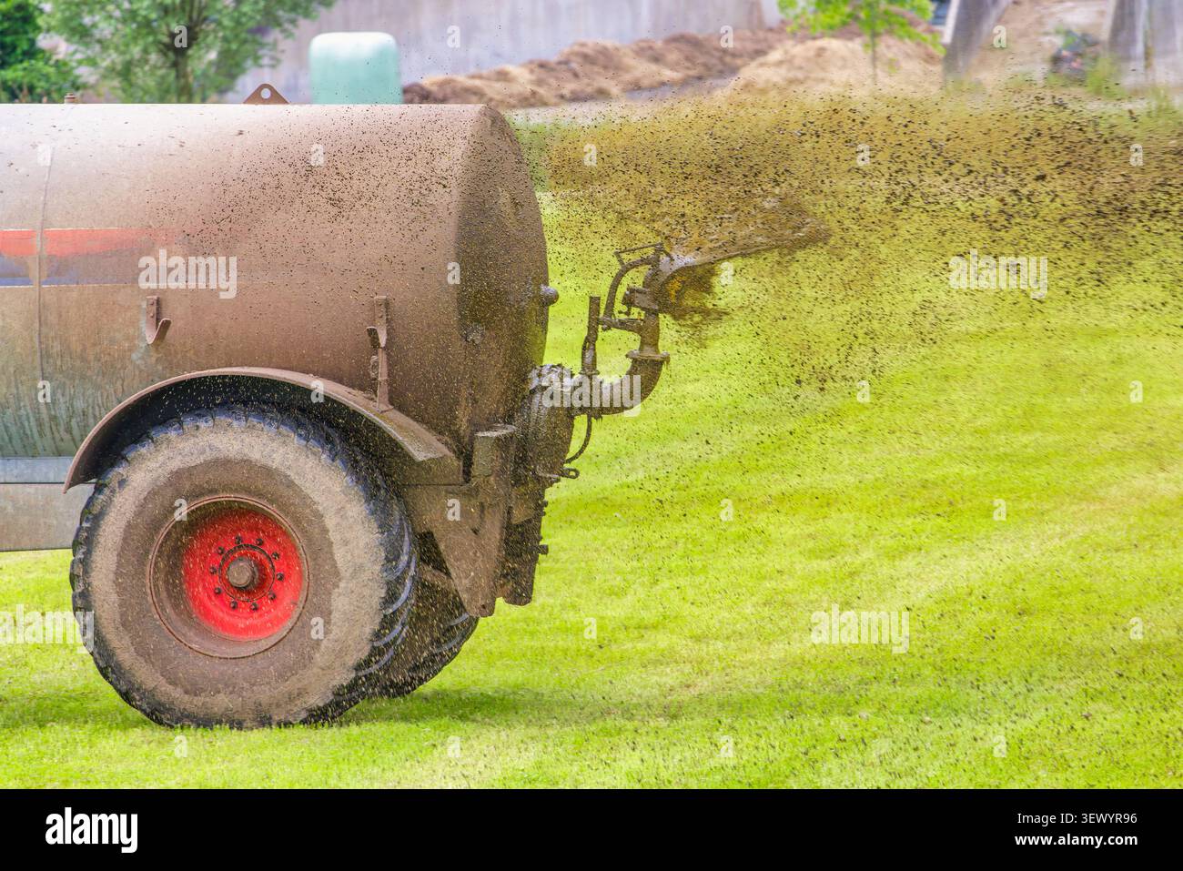 Un contadino olandese diffonde letame sui suoi campi erbosi Foto Stock