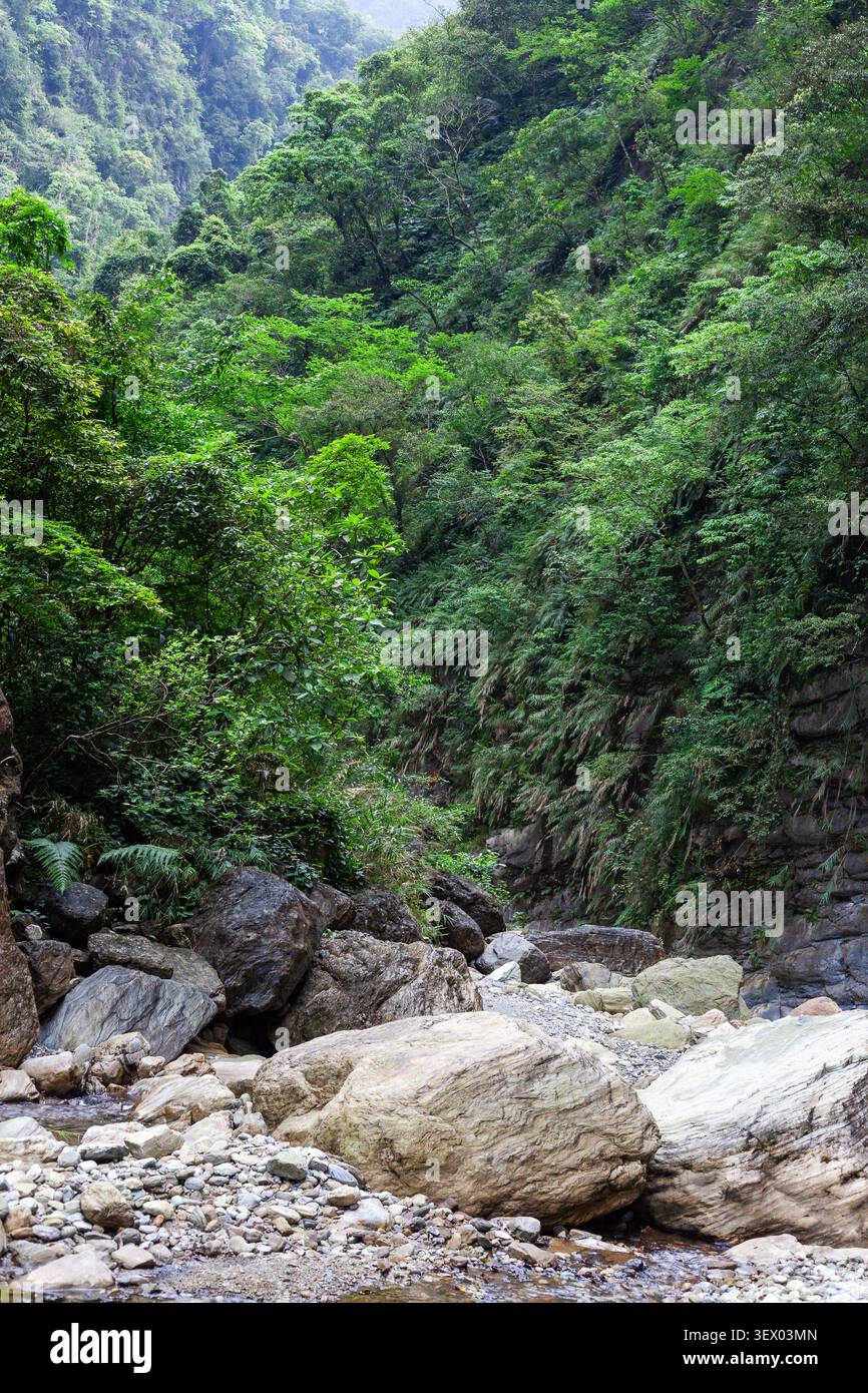 Lussureggiante valle del fiume Sanzhanxi a Hualien, Taiwan. La fitta foresta verde copre ripidi pendii montani. Grandi rocce e massi riempiono il letto asciutto del torrente. Foto Stock