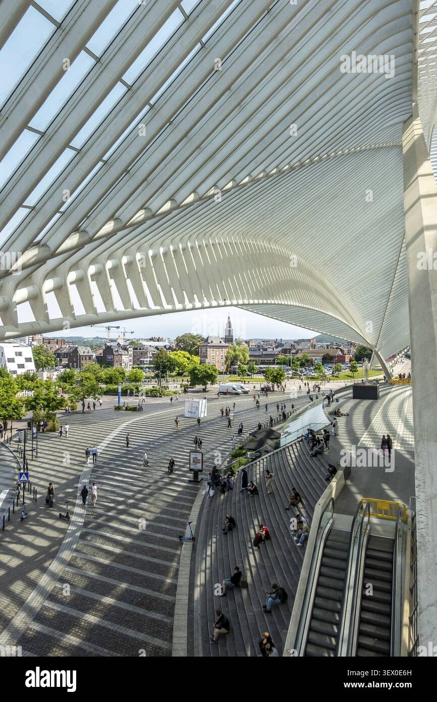 Luce e ombra sotto il tetto di Liegi-Guillemins, Liegi, provincia di Liegi, Belgio Foto Stock