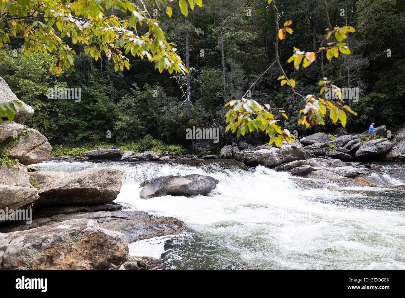 Cascata di Bulls Sluice nota per il rafting in acque bianche e il punto di nuoto. Foto Stock