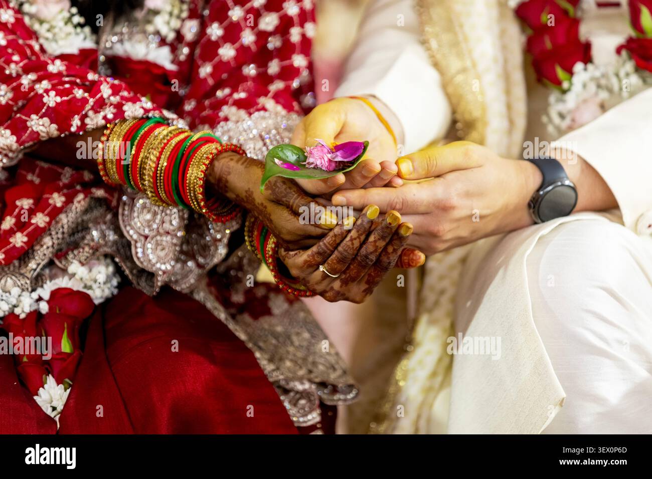 Coppia di nozze indiana che si tiene per mano con curcuma e petali di fiori Foto Stock