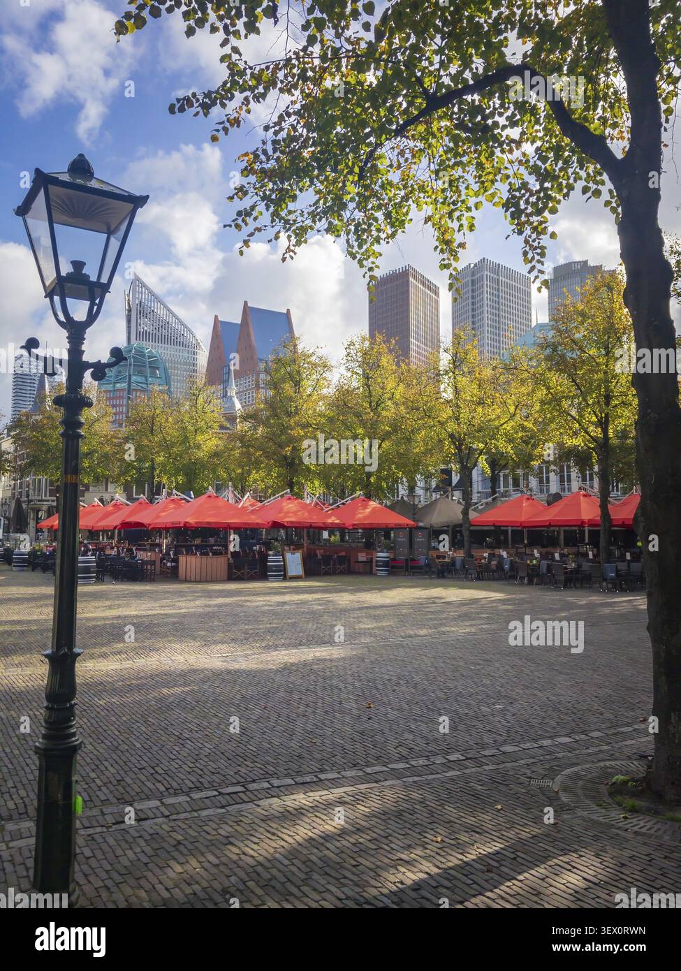 Plein Square nel centro della capitale olandese l'Aia (Den Haag), Paesi Bassi Foto Stock