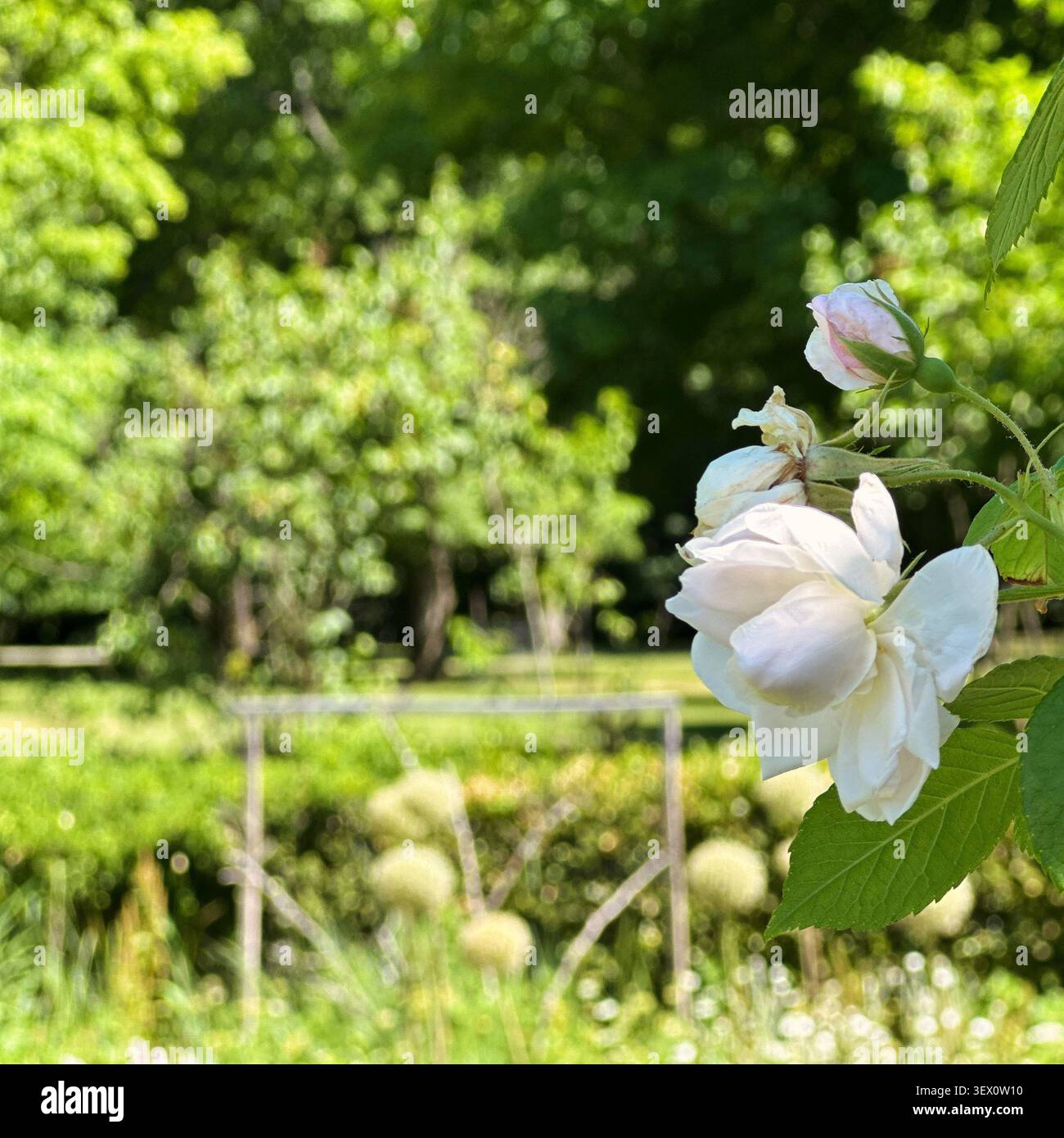 Locust Grove Estate, Poughkeepsie, Dutchess County, New York, Stati Uniti Foto Stock