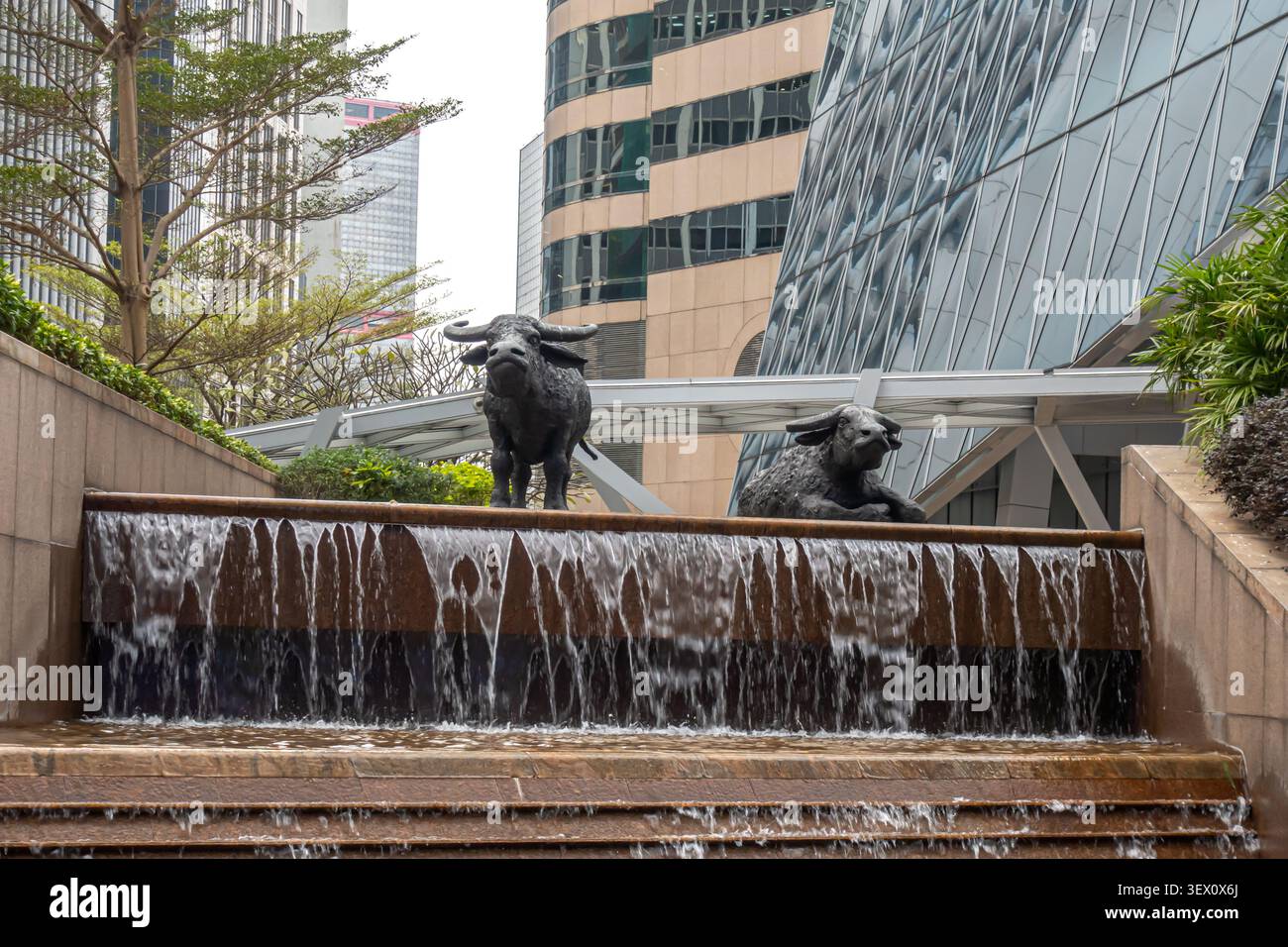 Statue di bufalo d'acqua situate in Exchange Square nel centro di Hong Kong. Sono state create dalla scultrice inglese Elisabeth Frink Foto Stock
