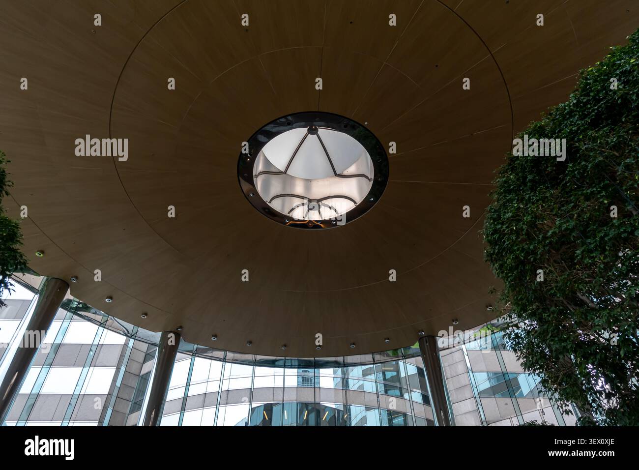 Soffitto circolare in legno con lucernario centrale, lobby Exchange Square, Hong Kong Foto Stock