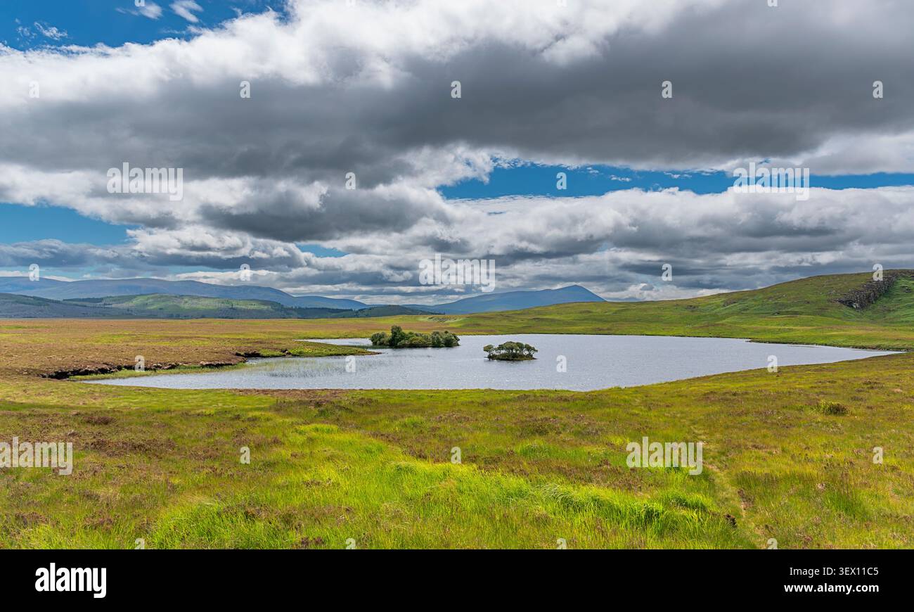 Loch remoto con isole vicino a Kinbrace Sutherland Scozia all'inizio dell'estate Foto Stock
