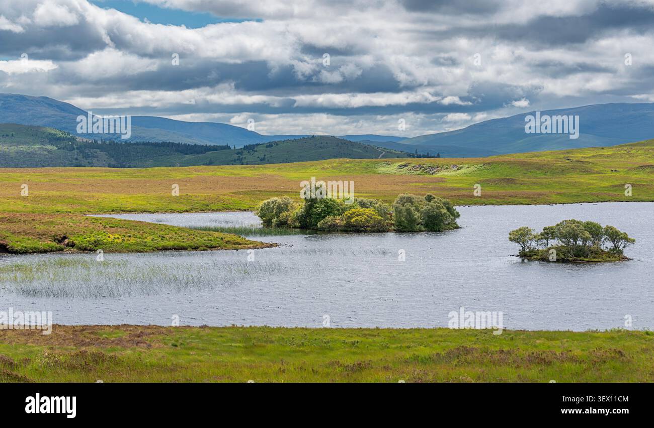 Loch remoto con isole ricoperte di alberi vicino a Kinbrace Sutherland Scozia all'inizio dell'estate Foto Stock